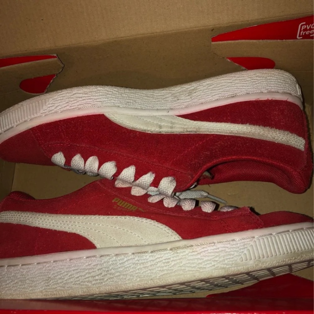 PUMAS